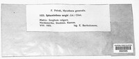 Image Associated With the Occurence